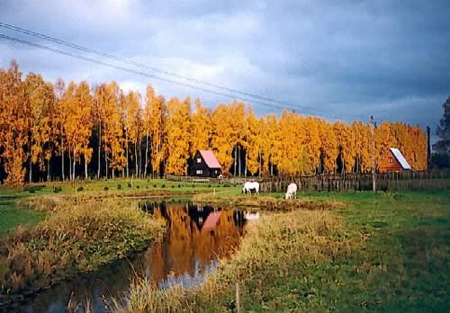 Zdjęcie z Gospodarstwa "Zielony Gaj" Walentyna i Wiesław Borysionek