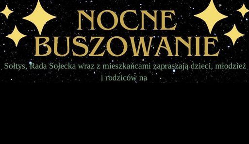 Nocne buszowanie w Kozłowie.