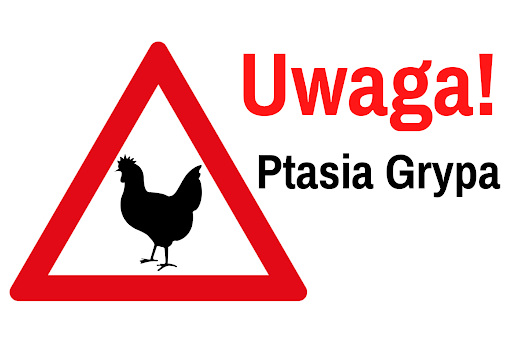 Grypa ptasia.