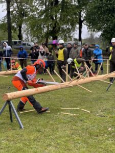Przycinanie gałęzi.